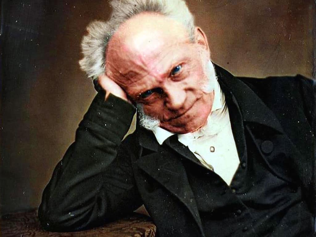 arthur schopenhauer أرتور شوبنهاور - الموْتُ والألم شرّان مُتميزان