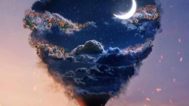 وليم شكسبير - سوناتا رقم 1 Art by Natacha Einat