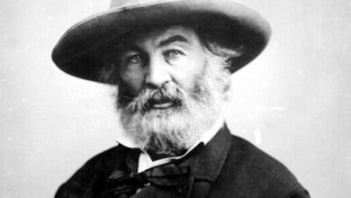 والت ويتمان - عنكبوت صبورة و هادئة walt whitman almaseera والت ويتمان - عنكبوت صبورة و هادئة