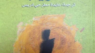 ألبير كامو - مقتطفات من رواية الغريب 872922074142 ألبير كامو - مقتطفات من رواية الغريب
