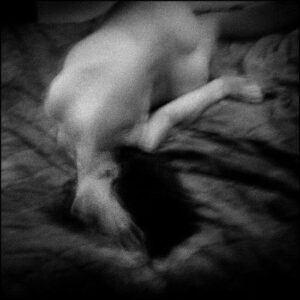 رنا شنيشن – Focus