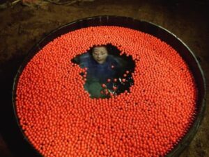 9cd270d7f98b37622ef0118ec2f8bbce محمد مختار - إضاءة طبيعية