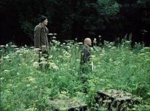 0dc66dd9da084e52bdf8c6dd567974a2 سينماتوغراف لفيلم " المطارد " للمخرج أندرى تاركوفسكى