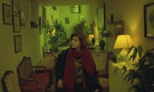 689dfc97b85a546206cdf5342183a73b سينماتوغراف لفيلم " حياة فيرونيكا المزدوجة " للمخرج كريستوف كيشلوفسكي