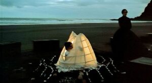 91e8074930ce5999bca3788d478d29c2 سينماتوغراف لفيلم البيانو للمخرج جين كامبيون