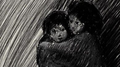 مايا أنجيلو - الحياة لا تخيفني - ترجمة عبير الفقي take me in to your arms by delawer omar dbq7dfj e1538239372693 مايا أنجيلو - الحياة لا تخيفني - ترجمة عبير الفقي