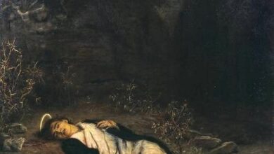 البابون أشرس أنواع القردة - دارين نور saint stephen 1895 sir john everett millais البابون أشرس أنواع القردة - دارين نور
