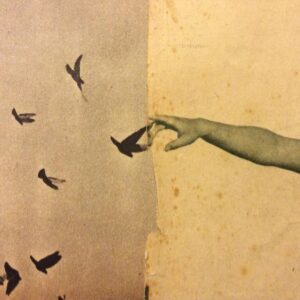 محمد الترهوني - هذا وجهكِ في رذاذ الأزرق الضبابي 1f4d2294093b412fde2b5435ecba2dd8 محمد الترهوني - هذا وجهكِ في رذاذ الأزرق الضبابي