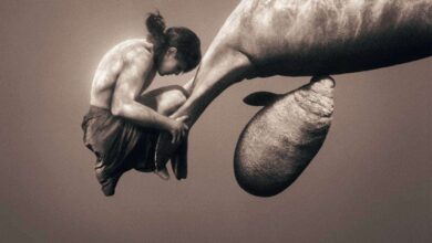 وارسان شاير - أول فكرة بعدما رأيتك تبتسم gregory colbert canada وارسان شاير - أول فكرة بعدما رأيتك تبتسم