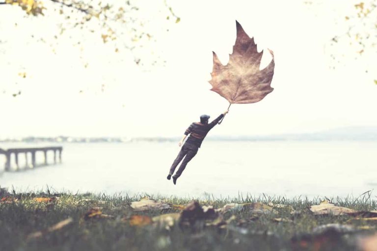 شعرية الأشياء – مختارات من محمد خضر