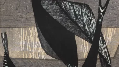 d7hftxdivxxvm.cloudfront الطريدة الهاربة - علي ضمد