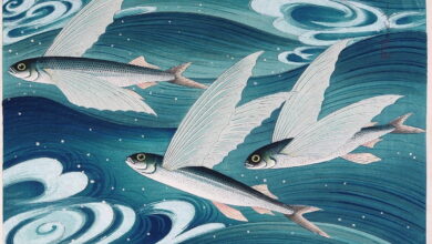 كيف تصير السماء سحابة - بتول دندشي tumblr pbpor3B9fP1sz7axzo1 1280 كيف تصير السماء سحابة - بتول دندشي