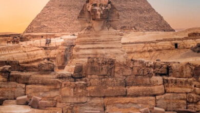 قطة - هديل نوفل Egypt 700x875 1 قطة - هديل نوفل