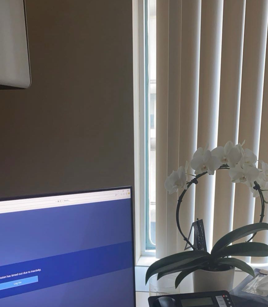 Orchid Nod قصة أوركيدة اسمها جميلة