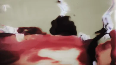 simondiebold 5 عشر رسائل حب - كليمنتين فون راديكس